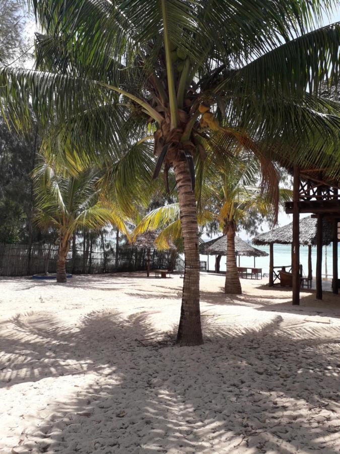 Tayana place Apartment Kizimkazi Luaran gambar