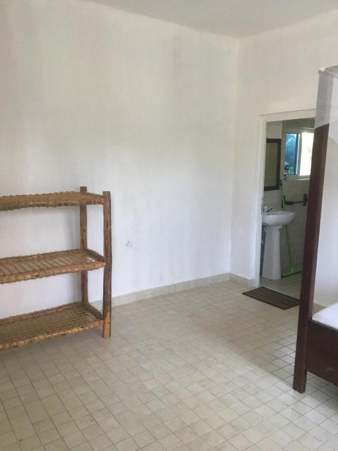 Tayana place Apartment Kizimkazi Luaran gambar