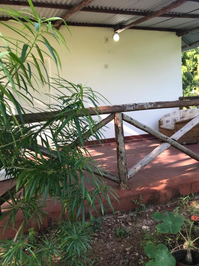 Tayana place Apartment Kizimkazi Luaran gambar